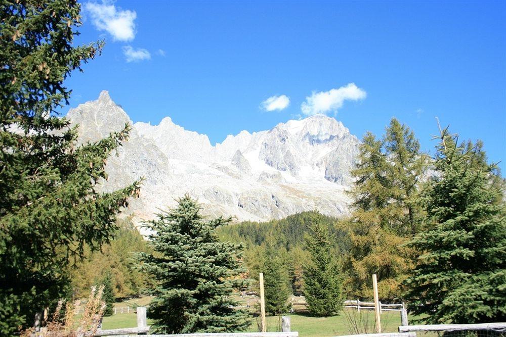 Hotel Locanda Belvedere Courmayeur Dış mekan fotoğraf